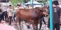 কোরবানির পশু জবাইকারীকে কোন পারিশ্রমিক দিতে হবে কী?
